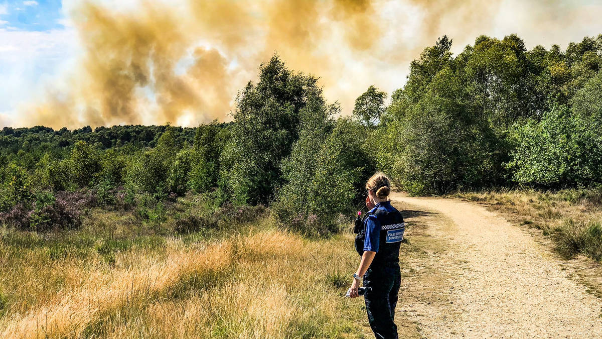 Chobham Common: People evacuated from homes face second night away as ...
