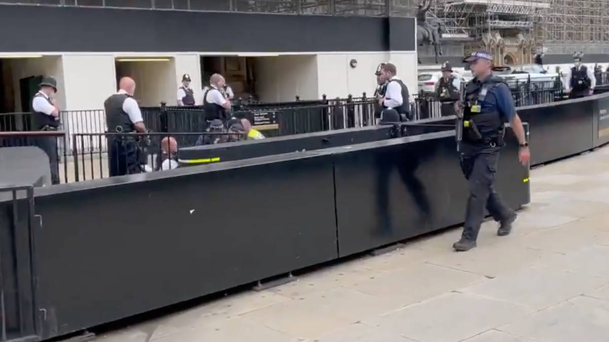 Man, 41, arrested after police officer punched outside Parliament | LBC