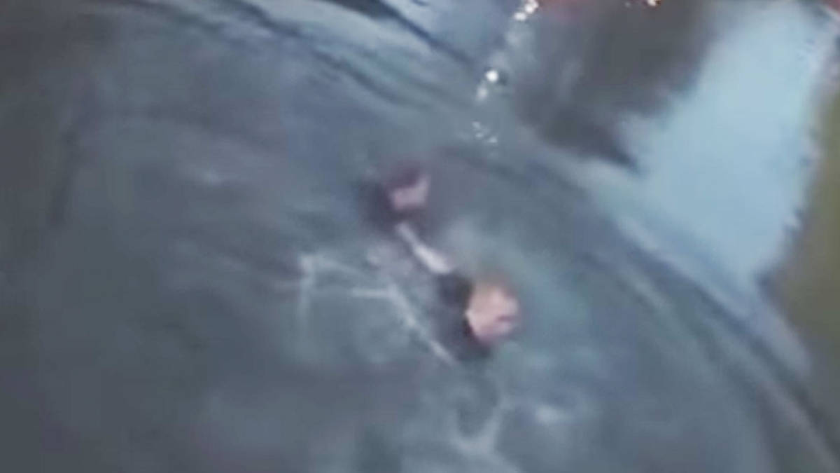Police Officer Dives Into Canal To Save Woman Who Jumped Off Bridge | LBC