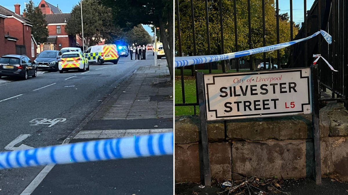 Woman in her 60s mauled to death by several dogs inside Liverpool home ...