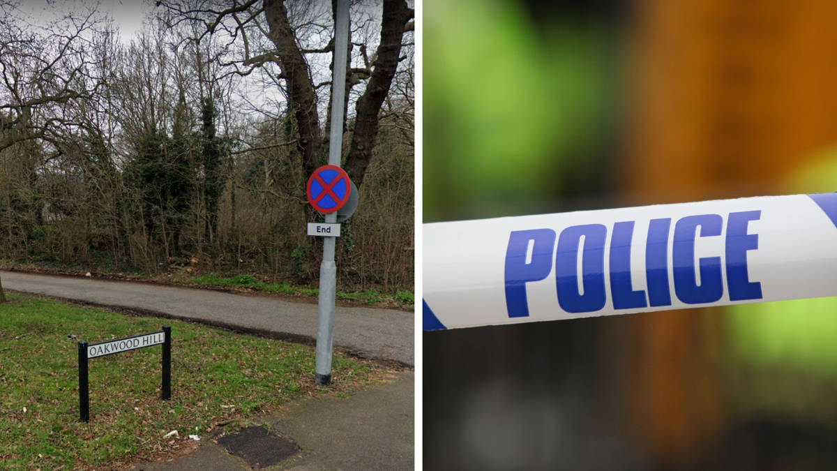 Police launch investigation after man's body found in Essex woodland | LBC