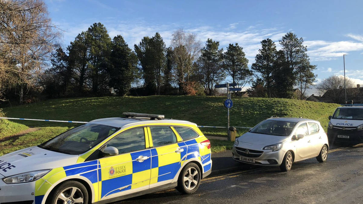 Murder investigation launched after human remains found in pond in ...