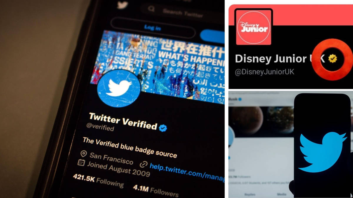 Twitter gives $1,000-a-month gold tick to random user who changed ...