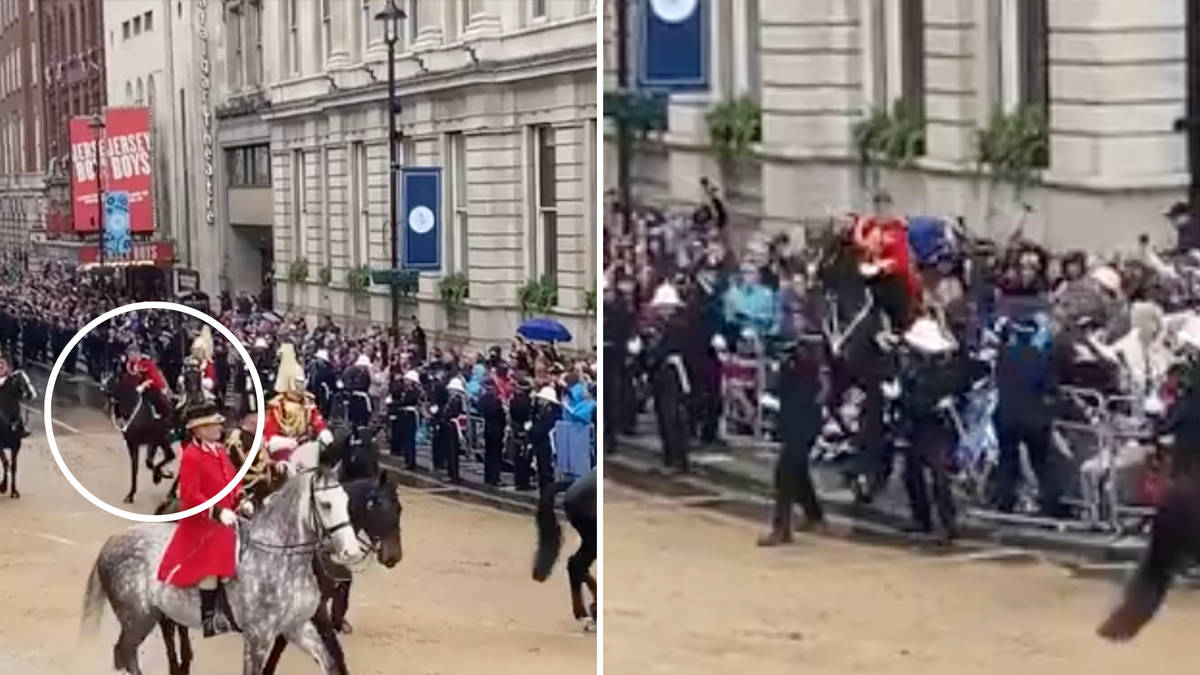 Shocking moment out-of-control horse rams into crowd during Coronation ...