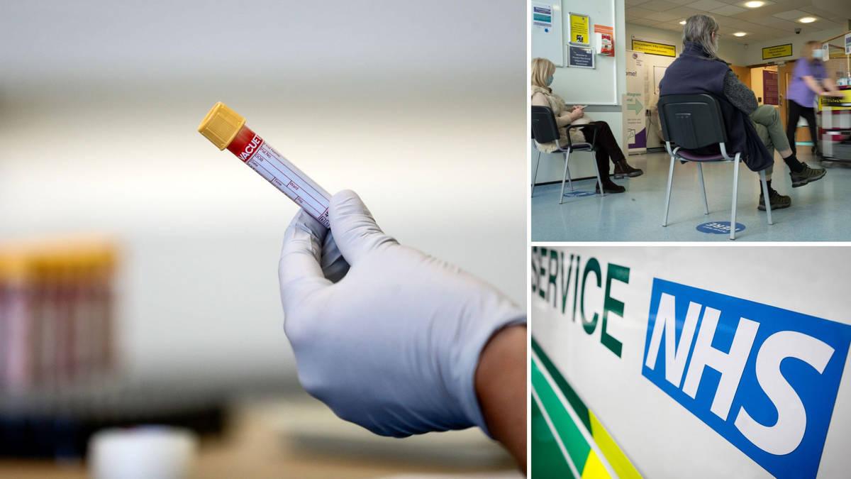 New 'simplified' blood tests could detect early signs of cancer in bid ...