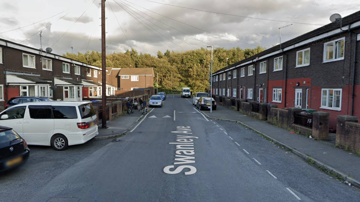 Schoolboy, 11, mauled by 'out of control' dog as woman, 35, arrested ...