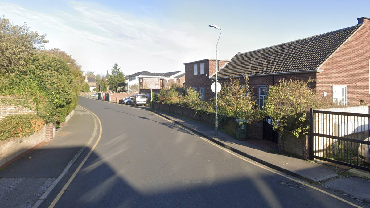 Woman fights for life after being attacked by dog in south London | LBC