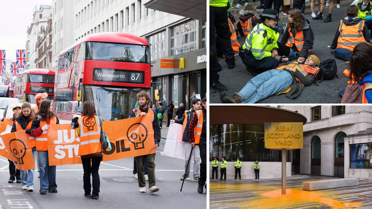 UN slams 'severe' sentences for Just Stop Oil protesters, as Rishi ...