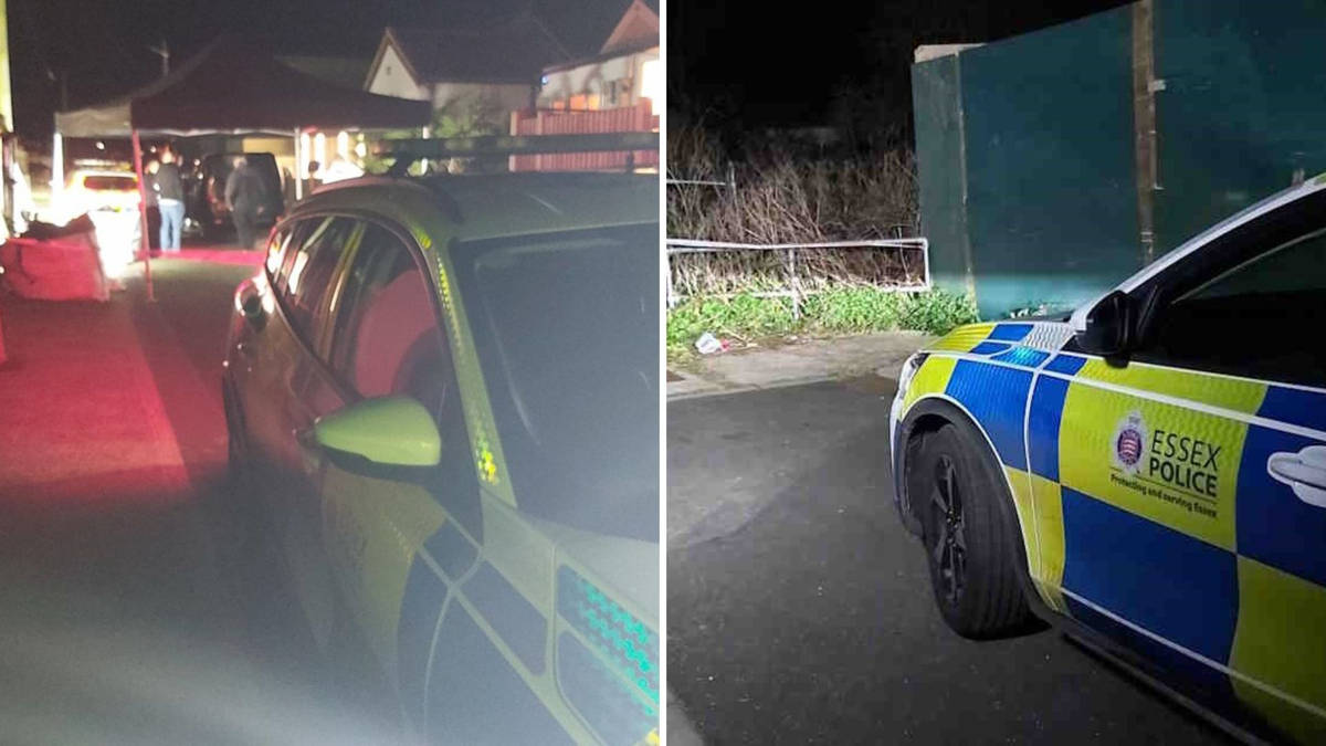 Grandmother mauled to death by two 'unregistered XL Bullies' in Essex ...