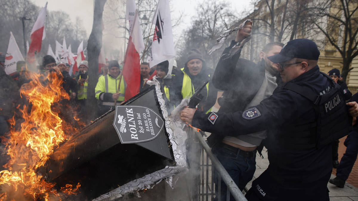 Polish farmers stage large protest against Ukrainian imports and EU ...