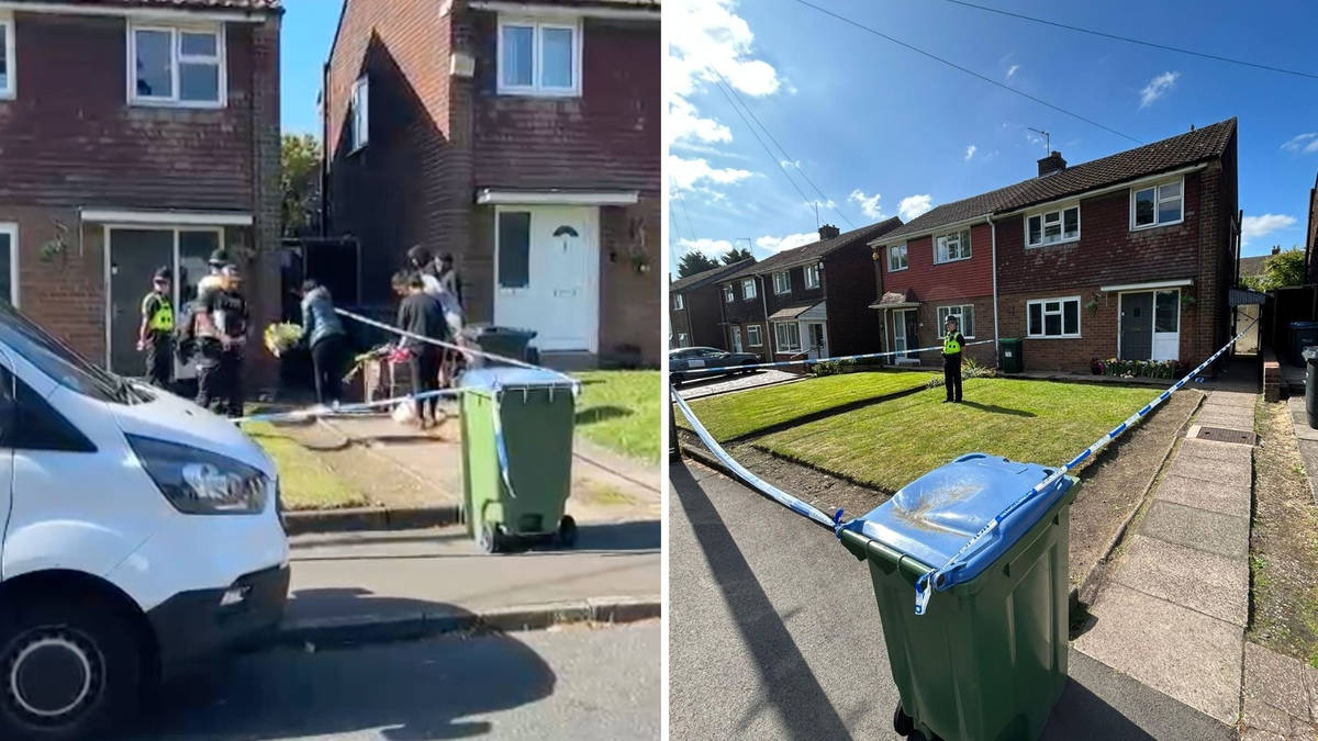 Two teenagers arrested after boy, 13, stabbed to death at home in ...