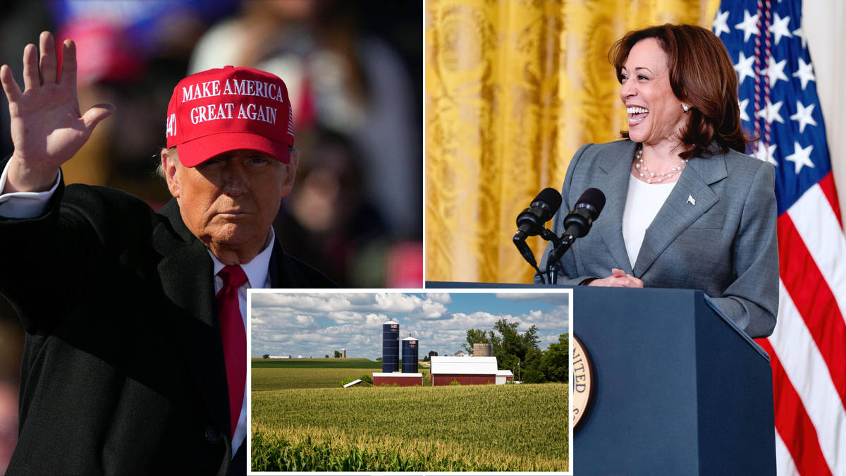 Iowa poll bombshell predicts Harris victory in blow to Trump campaign ...