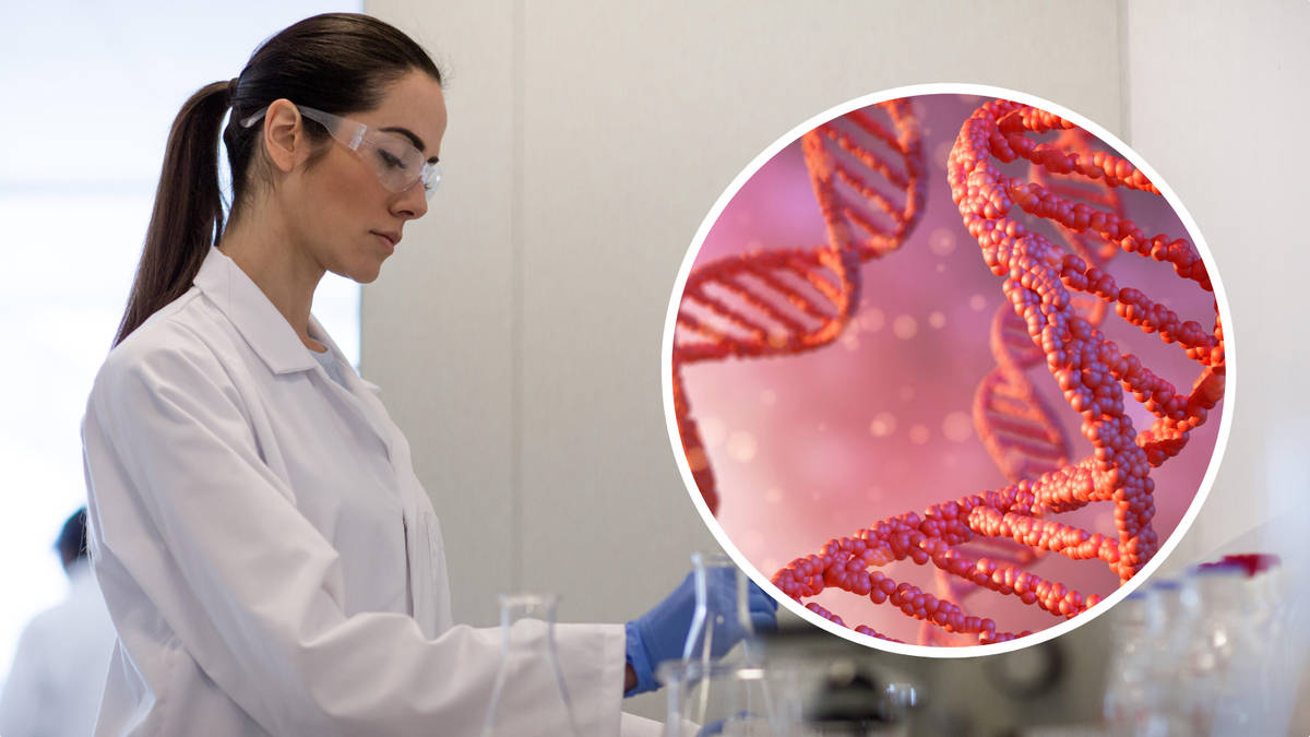 Creating 'mirror bacteria' could cause 'unprecedented risk' and wipe ...
