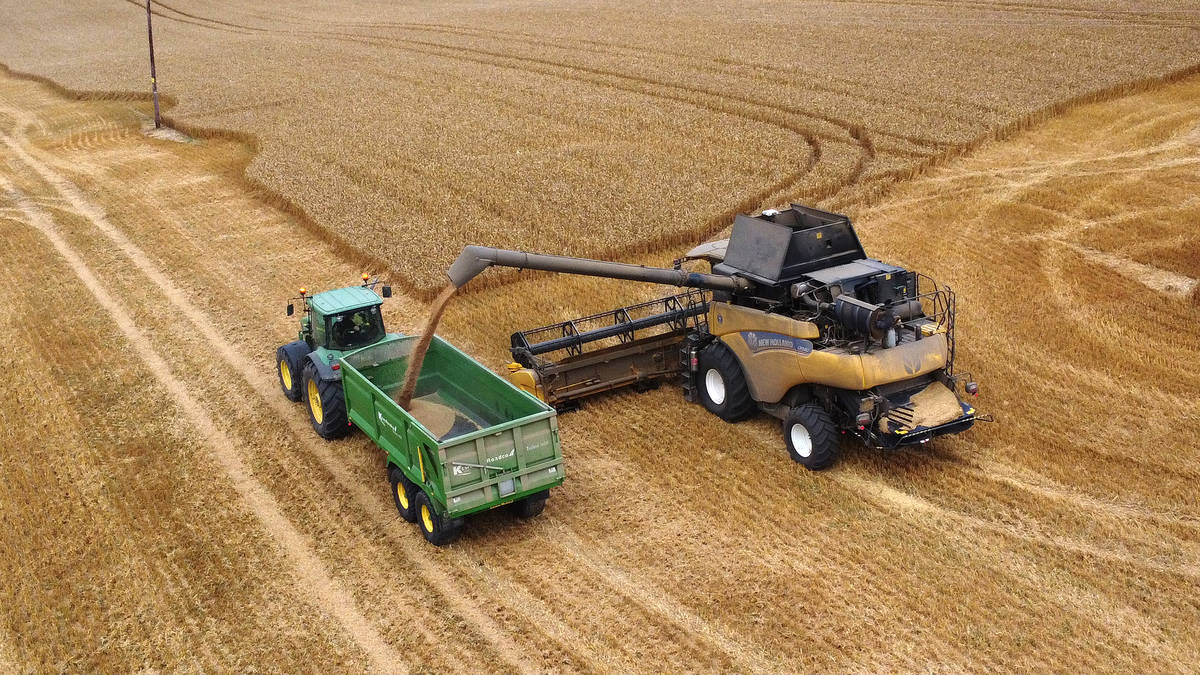 Almost 1 in 4 farms forced to shut in last two decades as Treasury meet ...