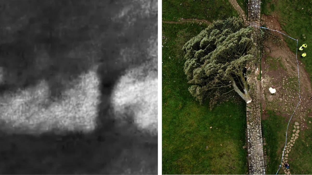 Night-time video shows the moment two friends allegedly chop down ...