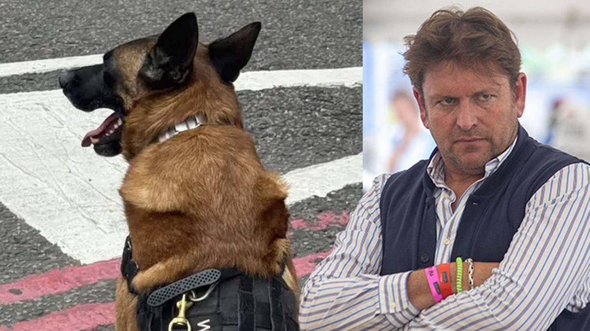 James Martin brings dog to London for 'protection' after car smashed ...