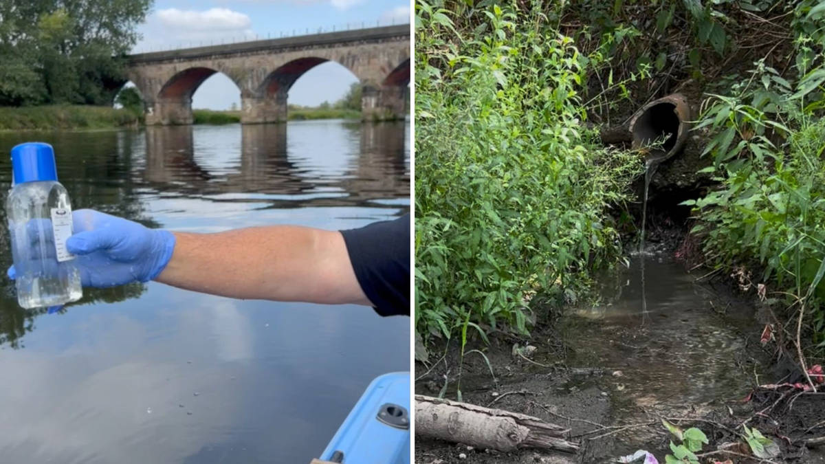 E. coli in River Trent reaches 'shocking' levels as campaigners brand ...