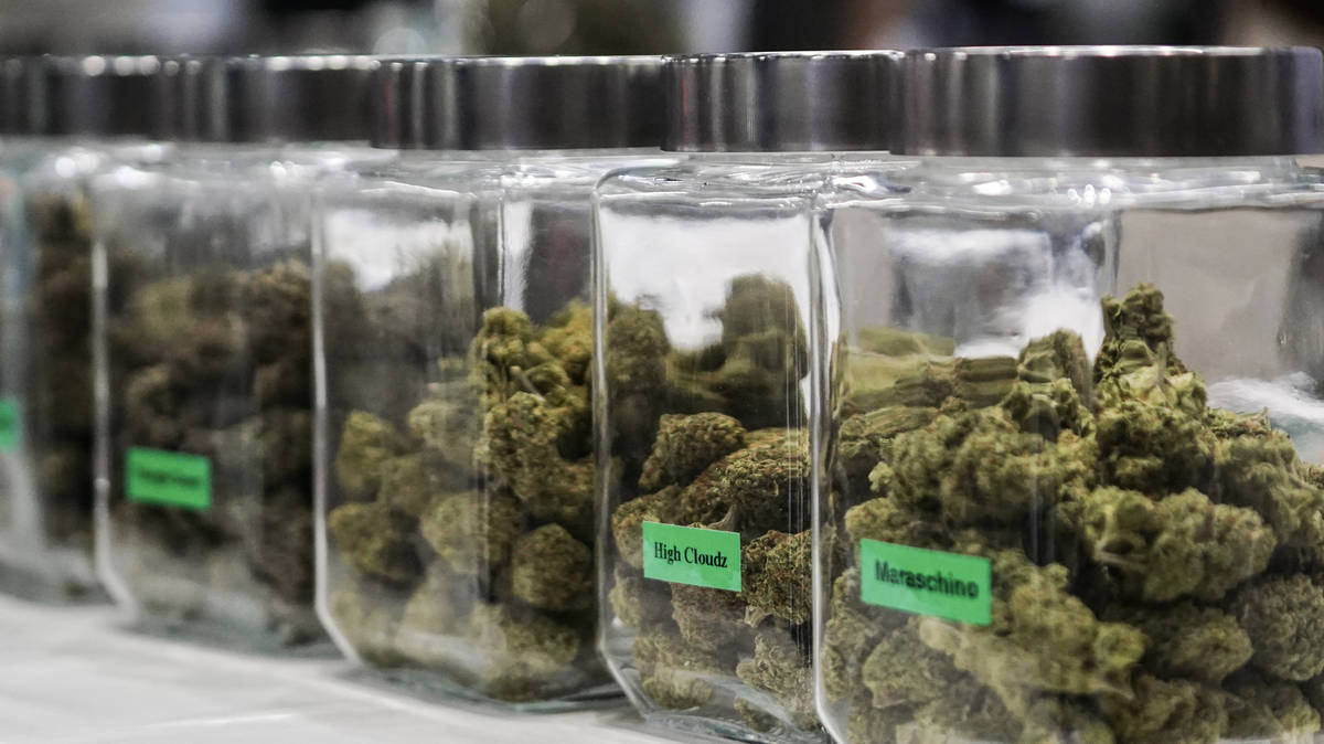 Calls to grow UK economy with cannabis as Snoop Dogg invests in ‘untapped’ market