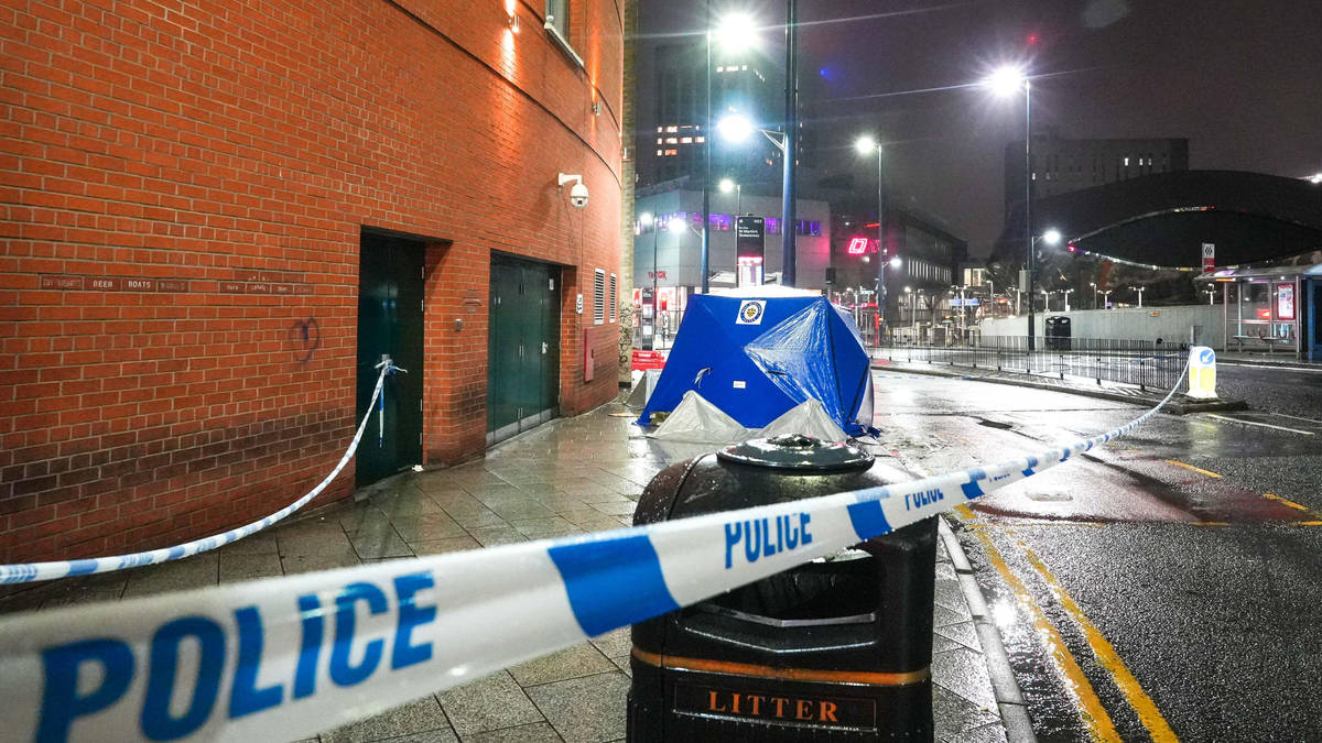 Woman critically injured after being stabbed in neck in 'unprovoked ...