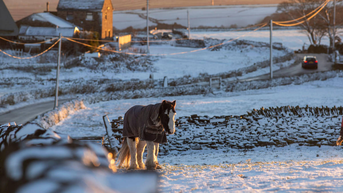 Brits wake up to coverings of snow as fresh warnings for freezing weather issued across UK