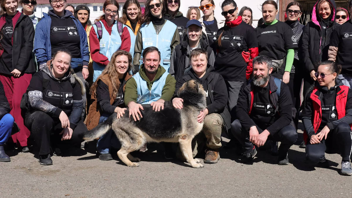 The Ukrainians risking their lives to protect lost and abandoned pets ...