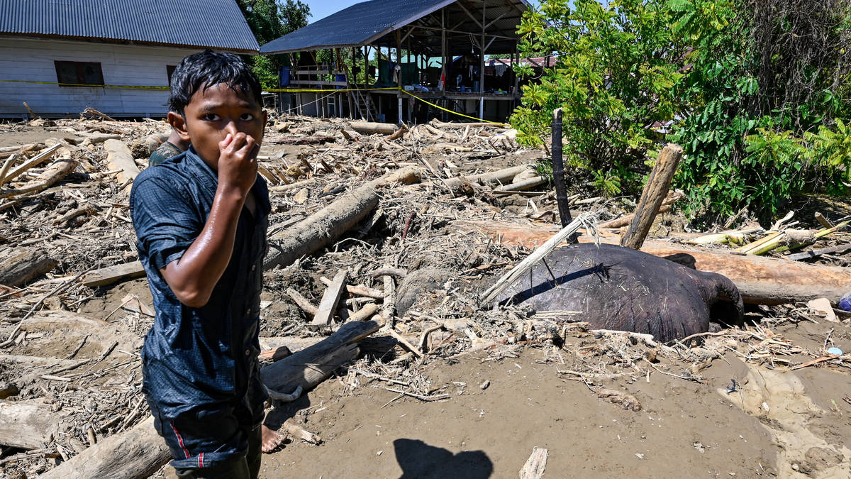 More than 1,100 dead and 800 missing as floods hit Indonesia, Sri Lanka ...