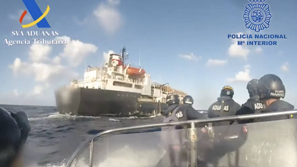 Drug cartels use ships packed with disease-ridden dying cattle to smuggle huge quantities of cocaine to Europe