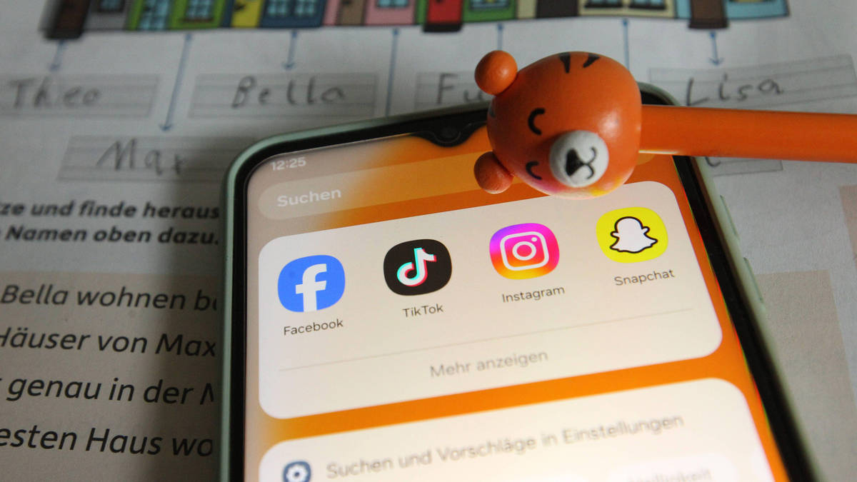 Ofsted chief backs UK to follow Australia in banning social media for under-16s