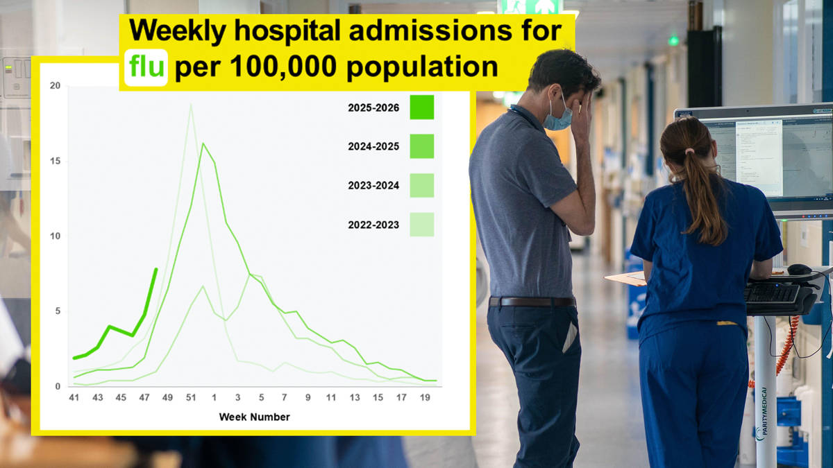 NHS faces 'worst case scenario' as 'tidal wave' of flu tearing through hospitals
