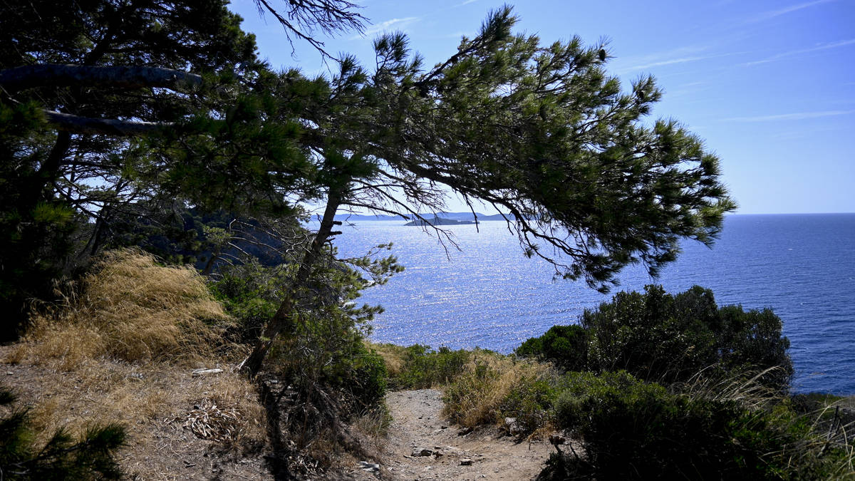 Coastal path in Var undergoes repairs due to erosion and heavy use ...