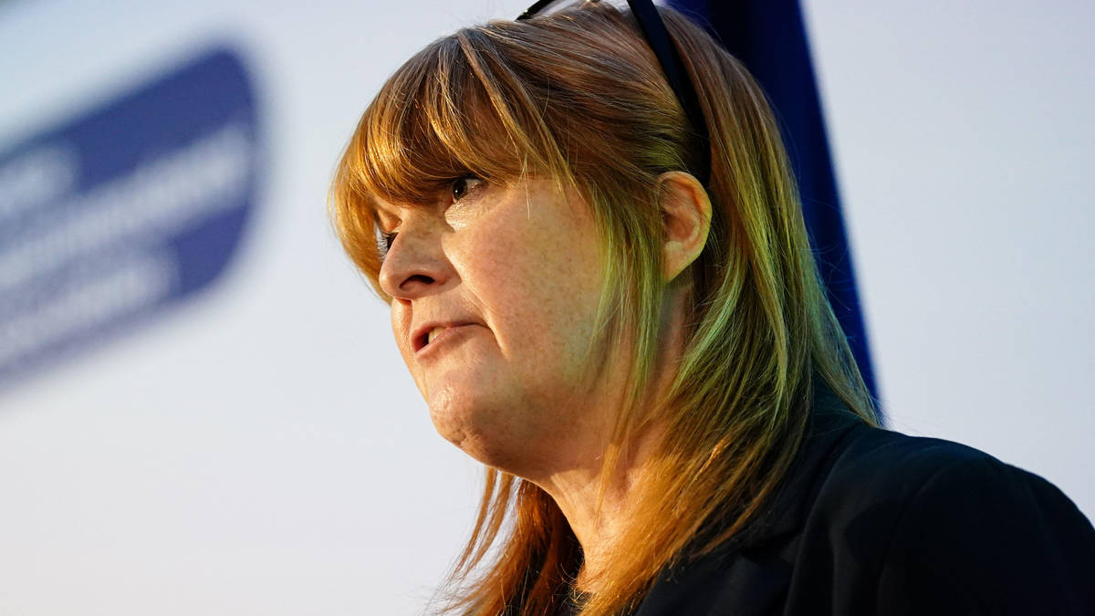 Tech experts urged to volunteer as police officers to help investigate online crimes