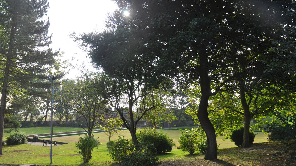 Woman, 28, arrested on suspicion of murder after man found dead in park ...