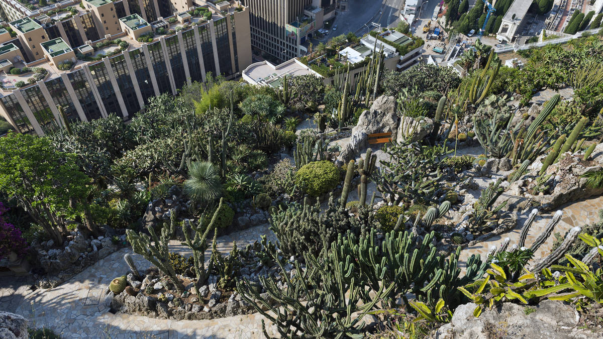 Monaco’s Exotic Garden reopens after six years of renovation | Riviera ...