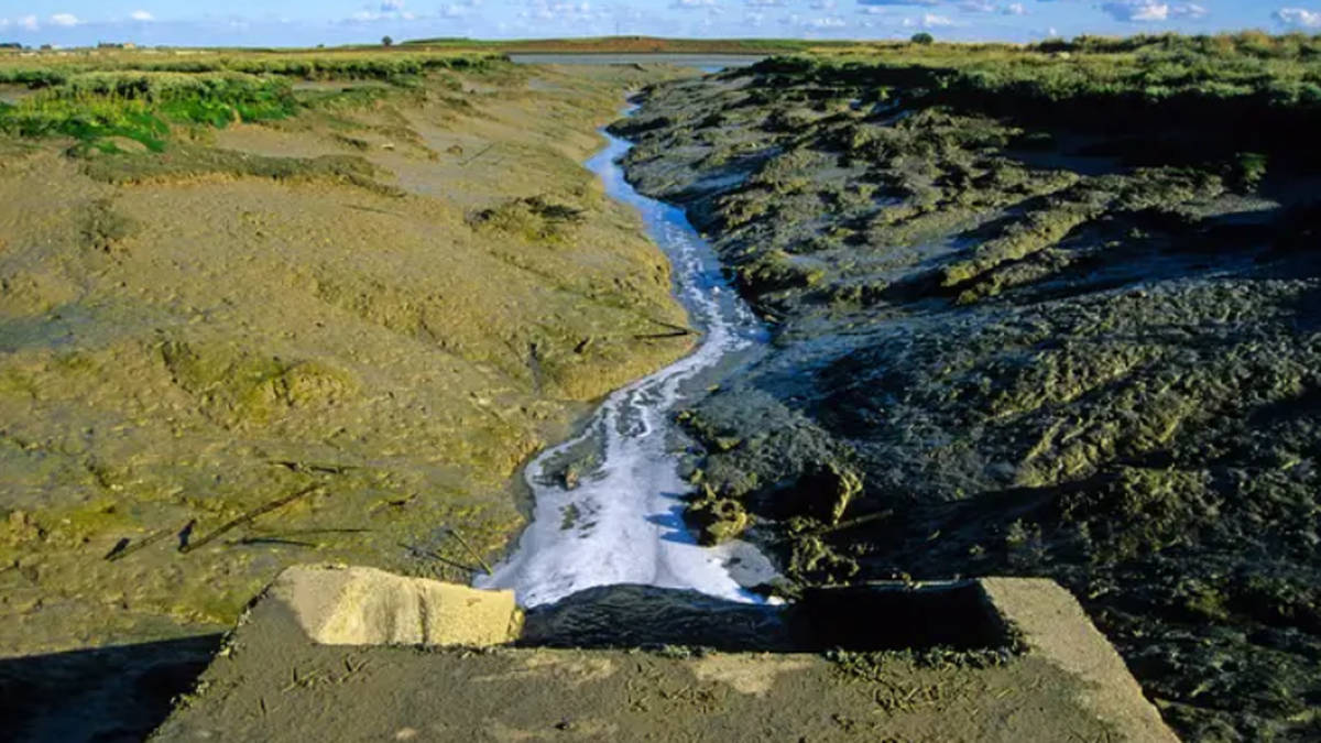 Nearly 100 criminal probes into water firms over pollution launched in past year