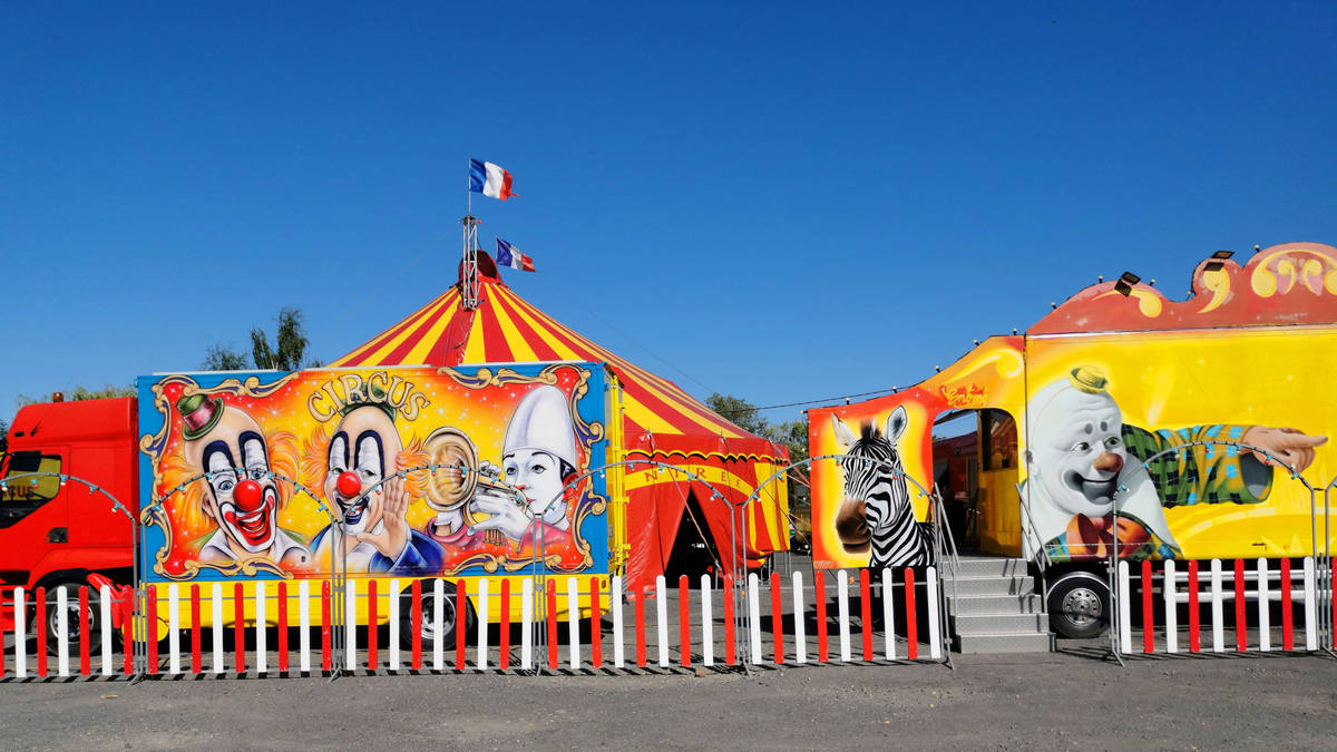 Lion cub circus row sparks legal dispute in southern France | Riviera Radio