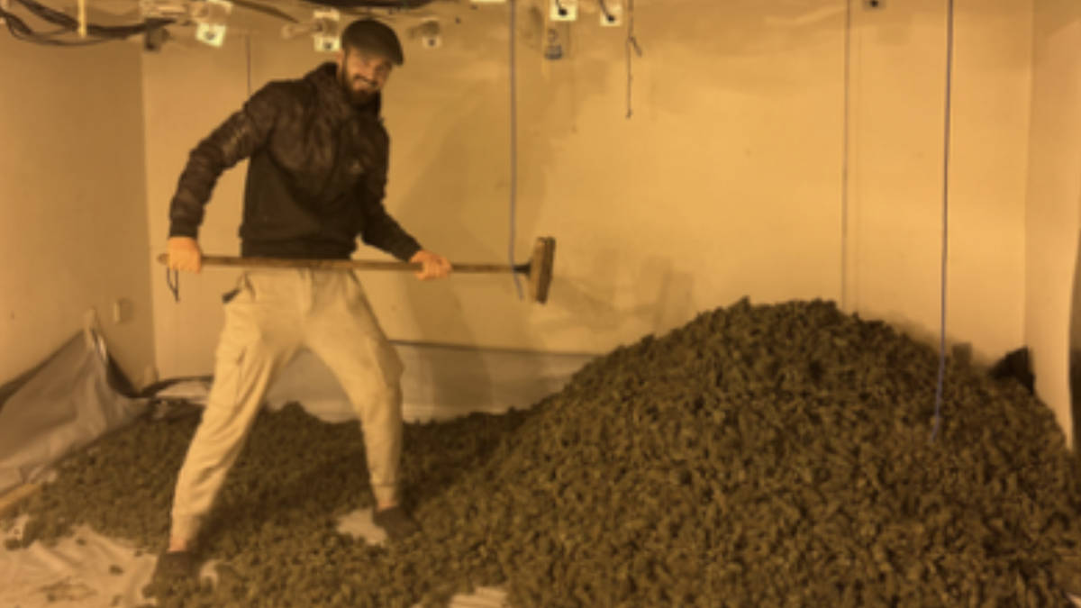 Grinning gangster who posed with huge pile of cannabis jailed after police raid £1million marijuana farm