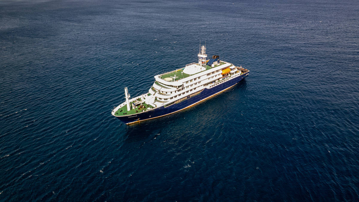 What is hantavirus? The mysterious disease linked to the virus-hit cruise ship