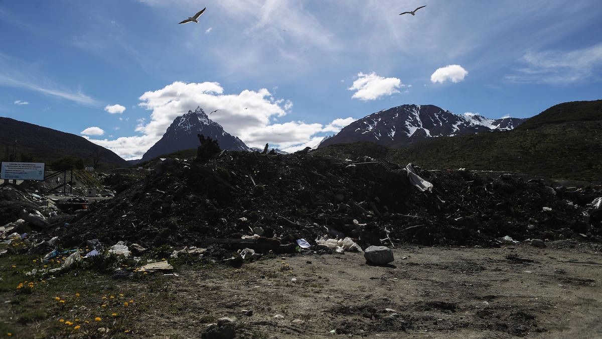 Is this the source of deadly rat virus outbreak? Couple 'contracted hantavirus' at Argentine waste site