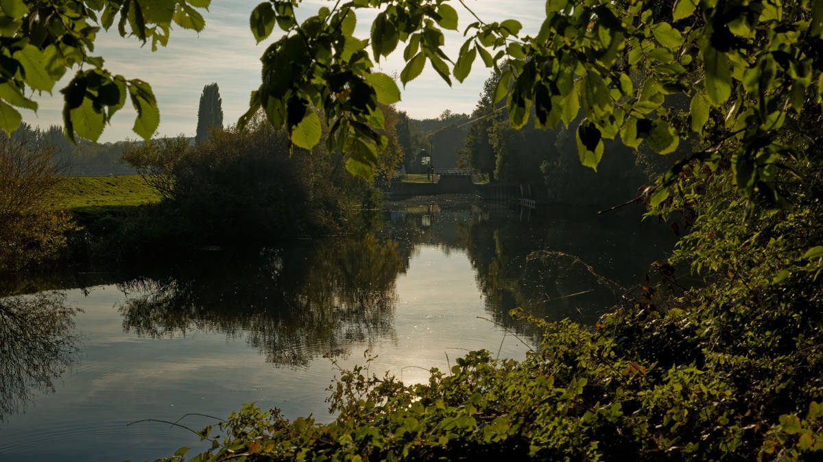 Search launched for boy, 11, last seen entering South Yorkshire river - as 14 Brits across UK drown in open water