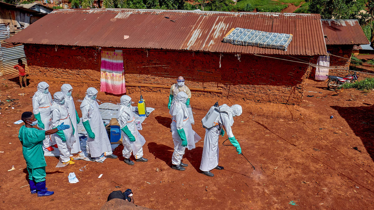 Ebola recoveries offer much-needed hope in DRC as possible cases emerge in Brazil and Italy