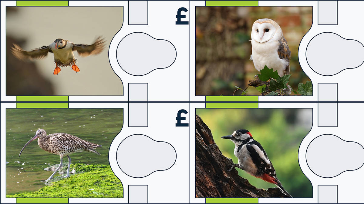 Bank of England reveals which animals could feature on its new-look ...