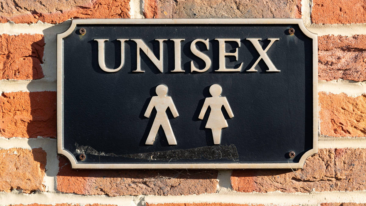 Unisex loo in primary school discriminates against girls, court rules