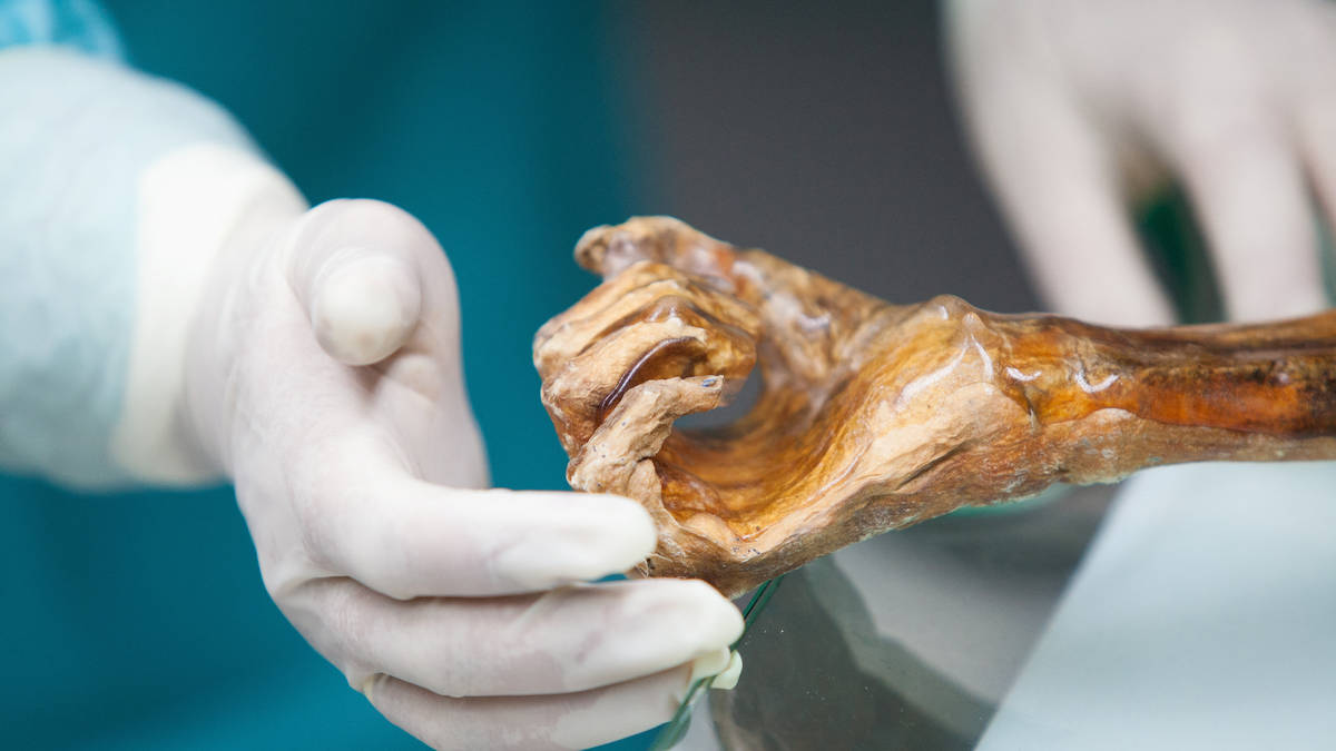 Scientists make 'really good' sourdough bread using yeast from 5,000-year-old mummy
