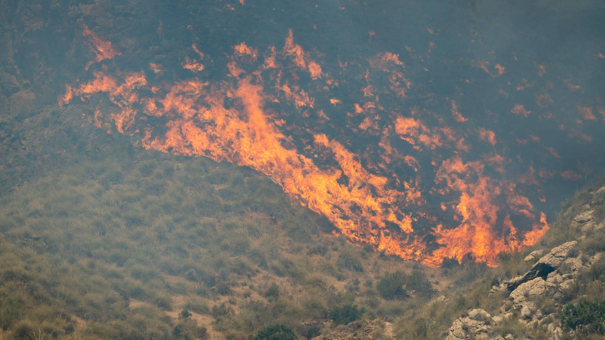 Image via lbc.co.uk