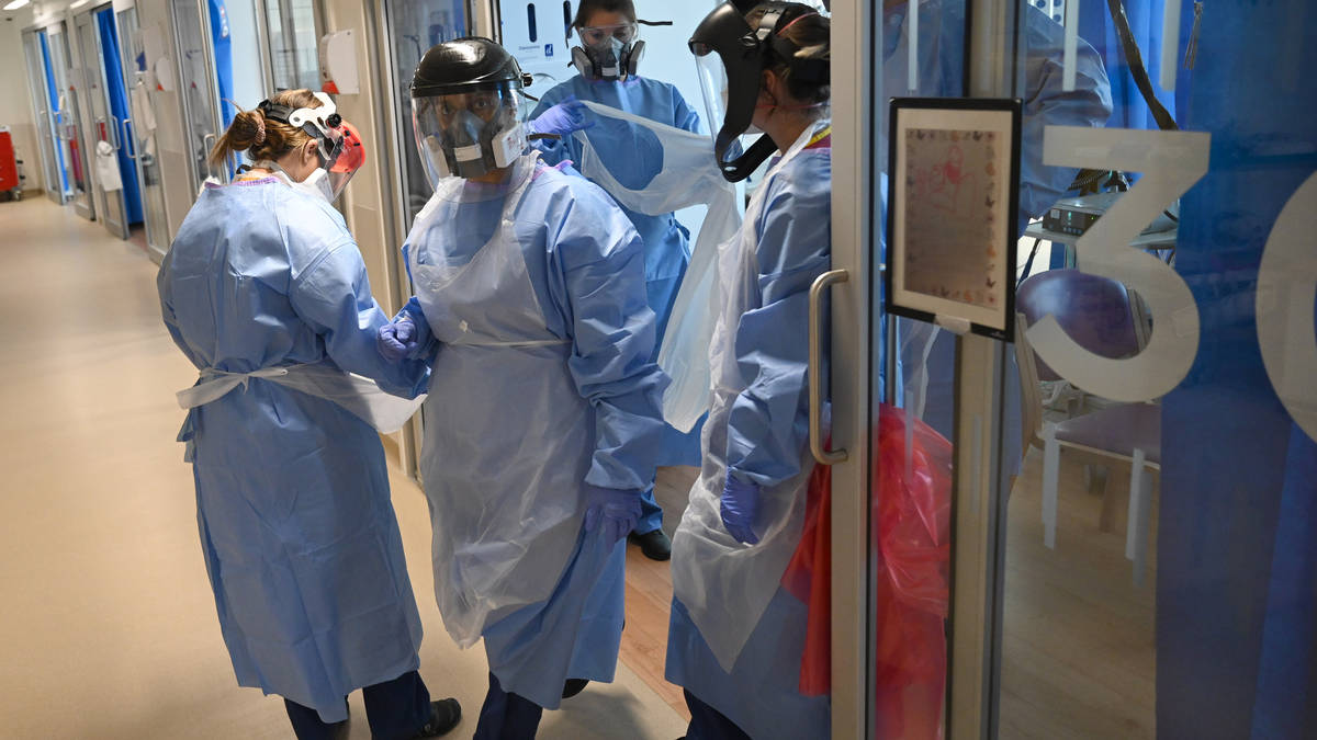VIP Covid contracts were ‘more expensive and had more performance issues’ than standard PPE deals, as inquiry warns £10 billion wasted