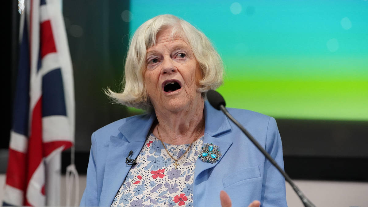'Politics is a game of personal destruction’: Ann Widdecombe’s haunting final interview just 20 minutes before she was killed