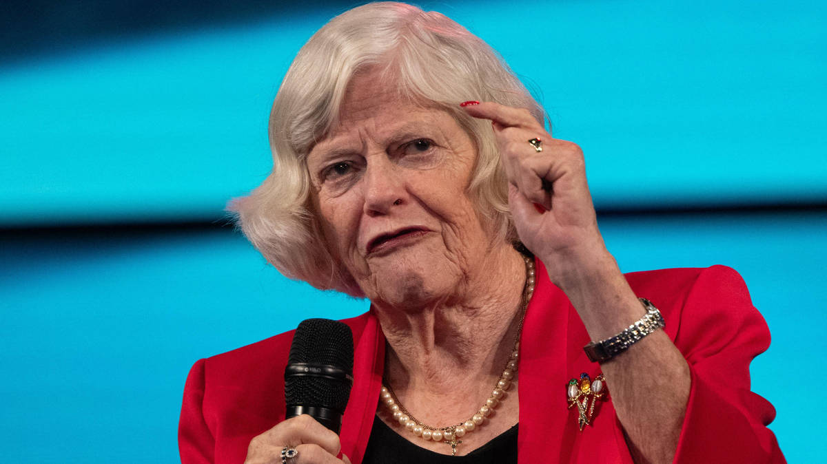 Police 'considering left-wing motive' in Ann Widdecombe murder probe