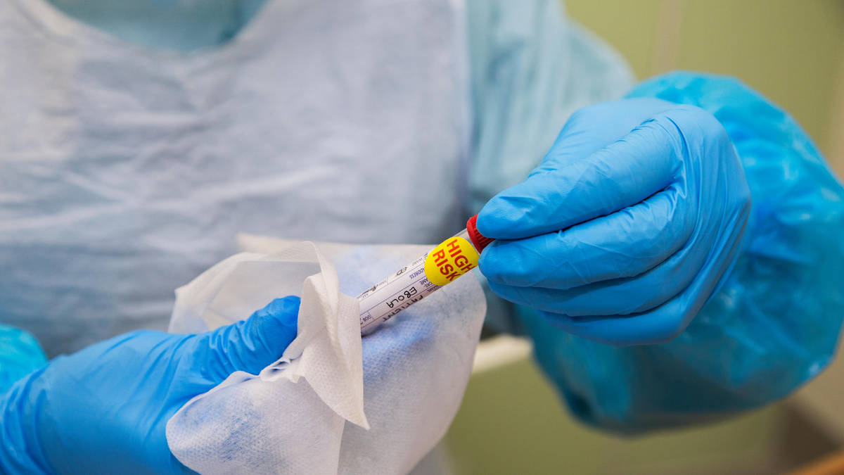 Understanding the Ebola Pathogen