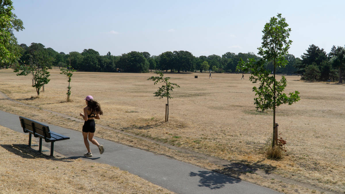 June heatwave cost UK economy more than £1bn, research suggests