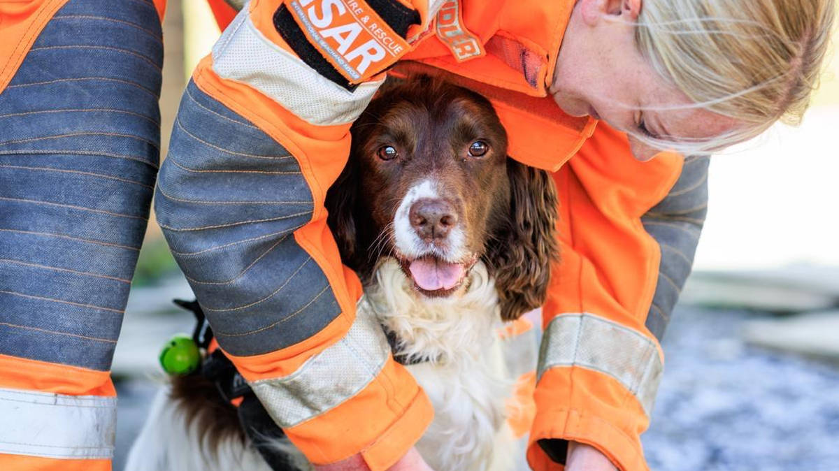 Search dog once abandoned for being too energetic retires after final Venezuelan earthquake mission